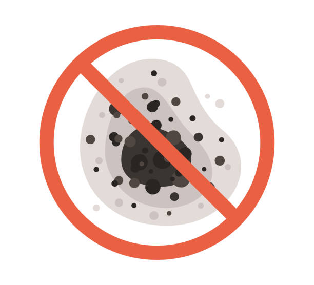 Reliable Wyndmoor, PA Mold Removal Solutions