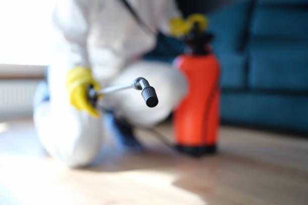 Best Real Estate Mold Inspection  in Wyndmoor, PA