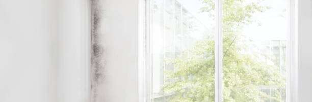 Best Post-Remediation Verification Testing  in Wyndmoor, PA